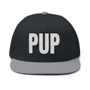 Hats One size / Black/Grey INTO: PUP Embroidered Flat Bill Cap – Kink Hat for Human Pups, Handlers & Playful Queer Expression LEATHERDADDY BATOR