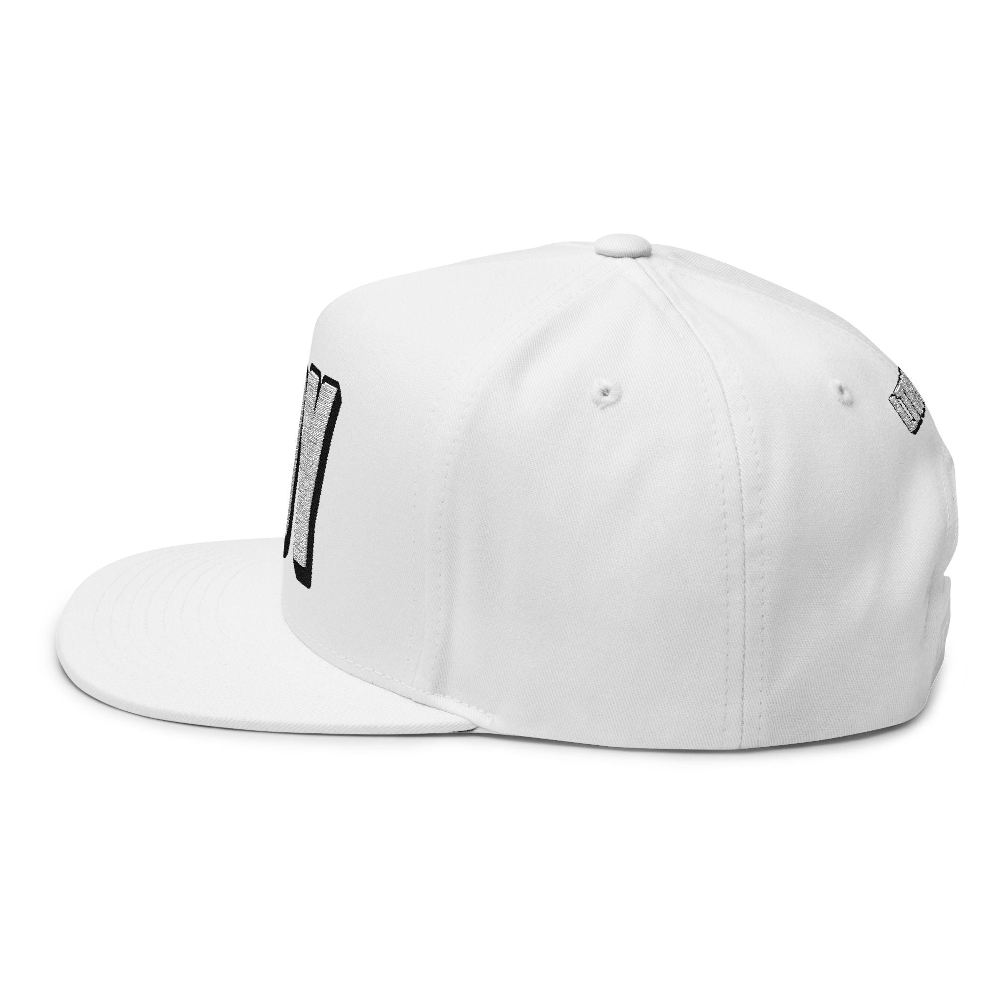 Hats INTO: BOY Embroidered Flat Bill Cap – Kink Hat for Submissive Roles, Leather Lads & Service-Oriented Play LEATHERDADDY BATOR