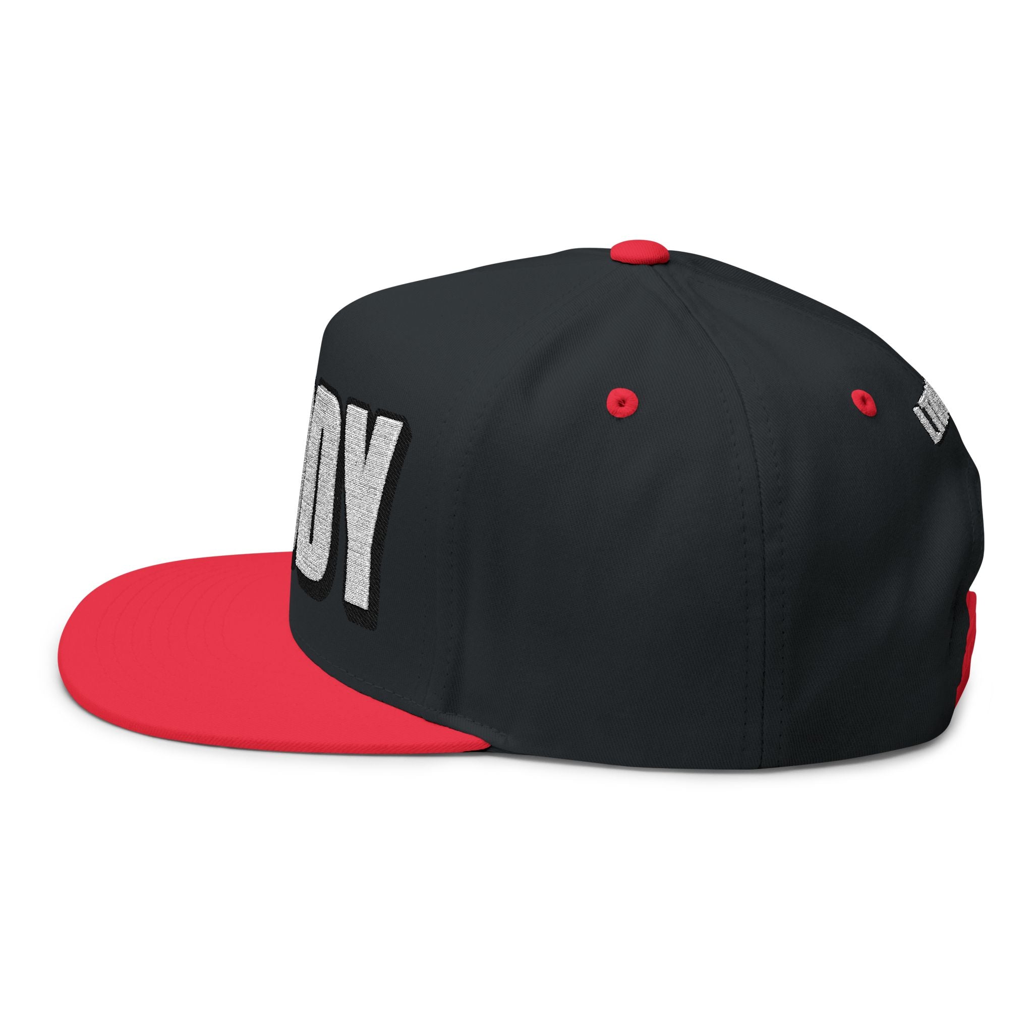 Hats INTO: DADDY Embroidered Flat Bill Cap – Kink Hat for Dominants, Caregivers & Commanding Types LEATHERDADDY BATOR