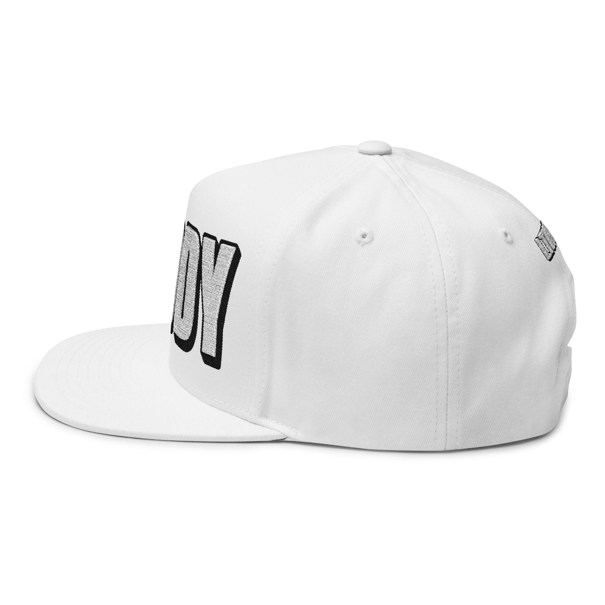 Hats INTO: DADDY Embroidered Flat Bill Cap – Kink Hat for Dominants, Caregivers & Commanding Types LEATHERDADDY BATOR