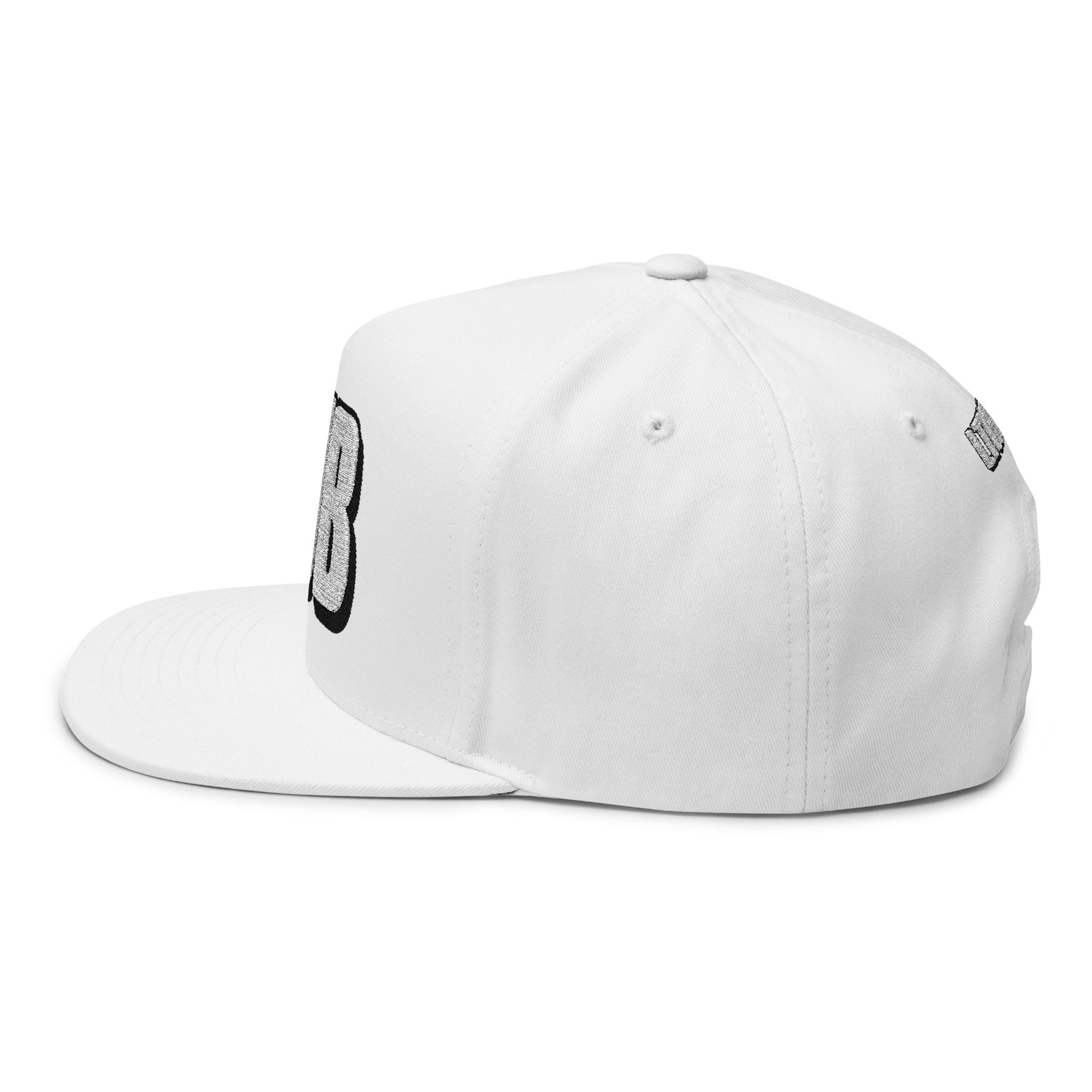 Hats INTO: NUB Embroidered Flat Bill Cap – Kink Hat for Chastity Subs, Shrinked D*s, & Total Denial Devotees LEATHERDADDY BATOR