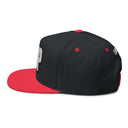 Hats INTO: PUP Embroidered Flat Bill Cap – Kink Hat for Human Pups, Handlers & Playful Queer Expression LEATHERDADDY BATOR