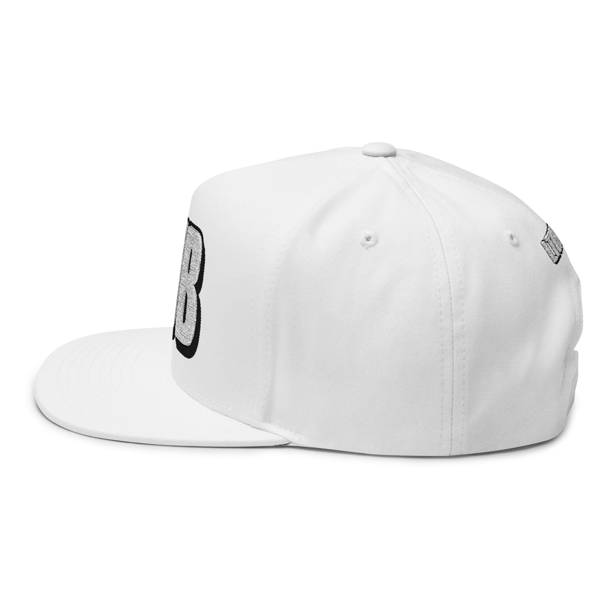 Hats INTO: SUB Embroidered Flat Bill Cap – Kink Hat for Submissives, Sluts & Service-Oriented Sweethearts LEATHERDADDY BATOR