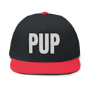Hats One size / Black/Red INTO: PUP Embroidered Flat Bill Cap – Kink Hat for Human Pups, Handlers & Playful Queer Expression LEATHERDADDY BATOR